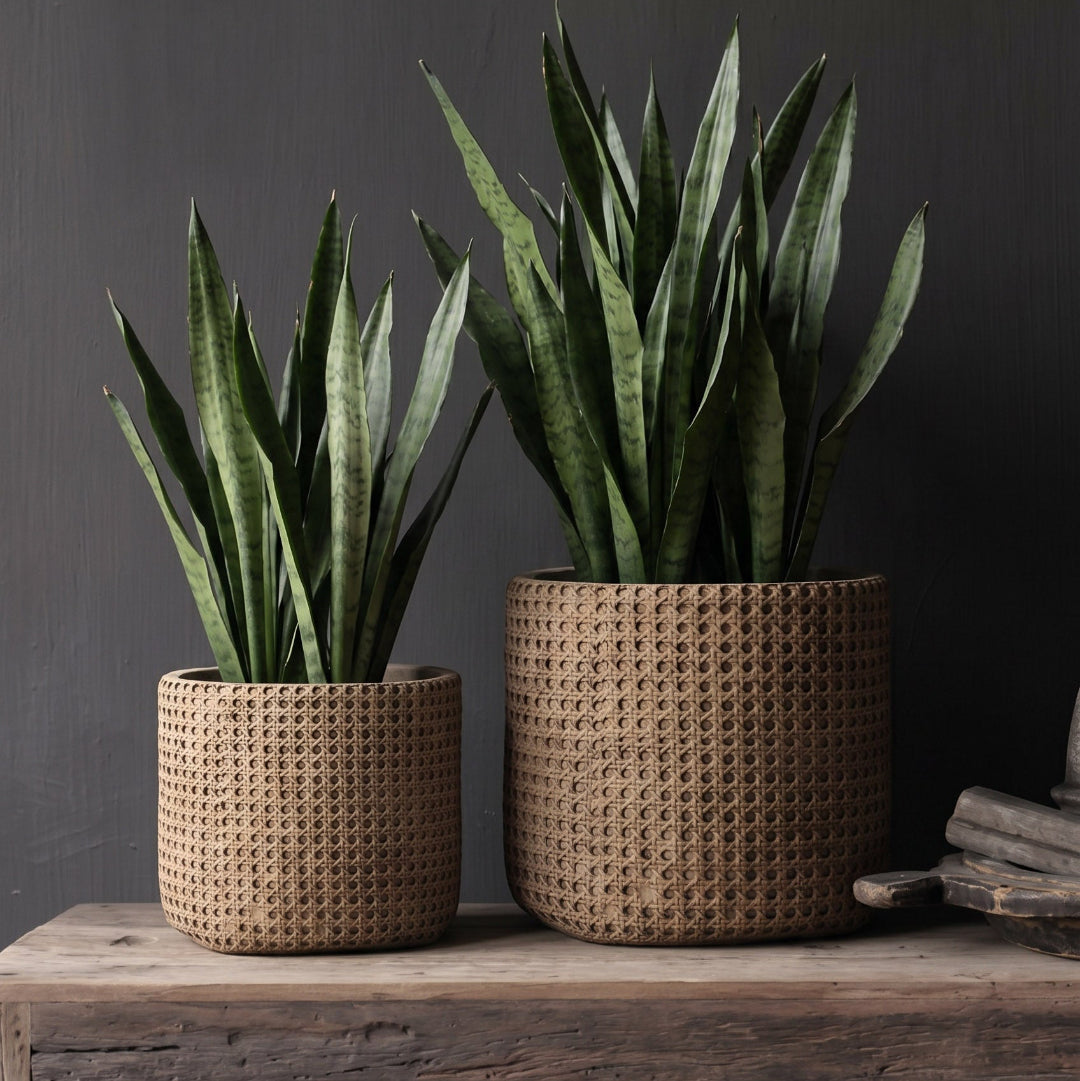 RATTANROCK Pflanzkübel XL - Pflanztopf - Dekotopf