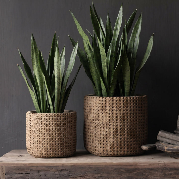 RATTANROCK Pflanzkübel XL - Pflanztopf - Dekotopf