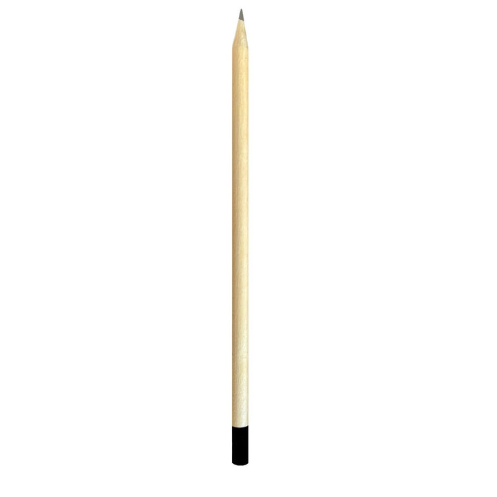 SEEDZ Blooming Pencil - 4 Bleistifte in pflanzbarer Verpackung - Basilikum