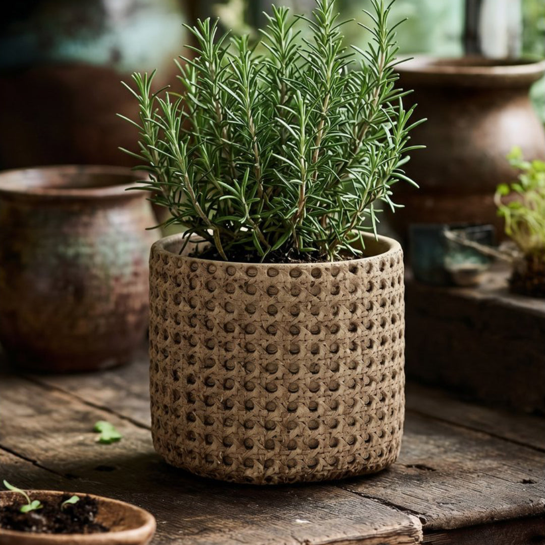 RATTANROCK Pflanzkübel M - Pflanztopf - Dekotopf