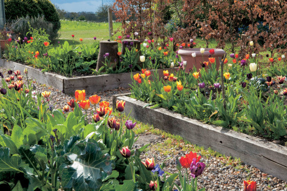 Buch GARTENGESTALTUNG MIT HOCHBEET | Ideen, Tipps & Inspiration für Garten & Balkon