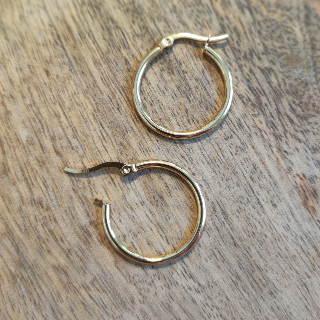 Ohrringe Creolen schmal gold (10)