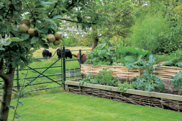 Buch GARTENGESTALTUNG MIT HOCHBEET | Ideen, Tipps & Inspiration für Garten & Balkon