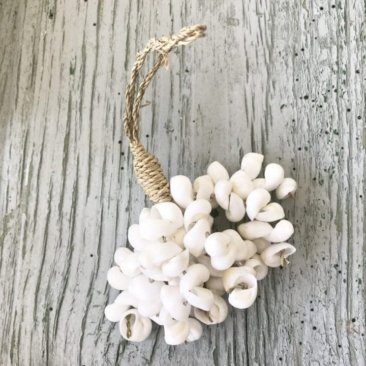 Muschelbündel