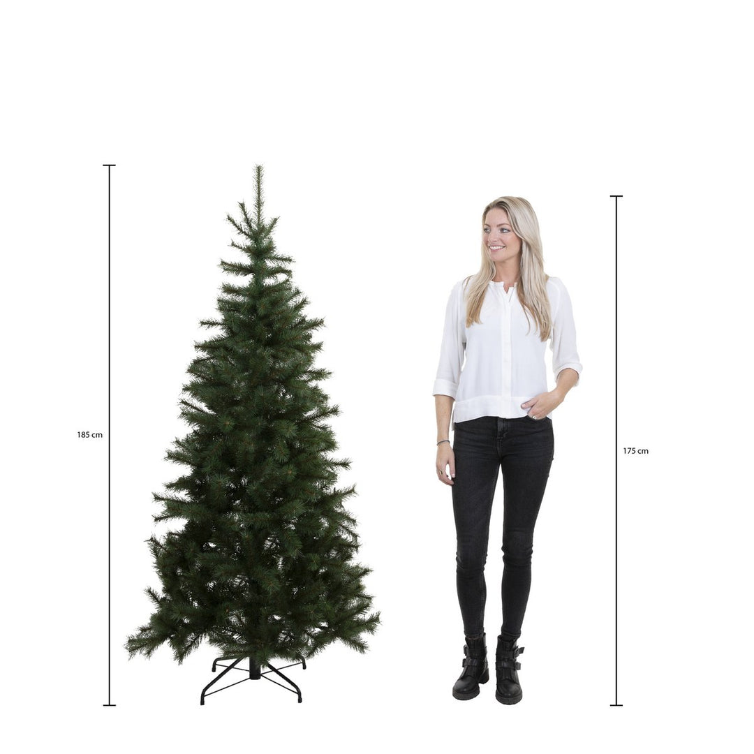 Weihnachtsbaum "Charlton" – H185cm