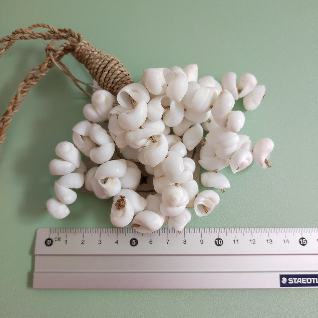 Dekoratives Muschelbündel – Naturdeko im Boho- und Küstenstil