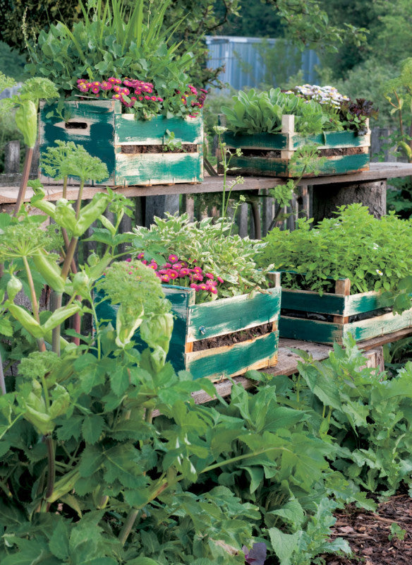 Buch GARTENGESTALTUNG MIT HOCHBEET | Ideen, Tipps & Inspiration für Garten & Balkon