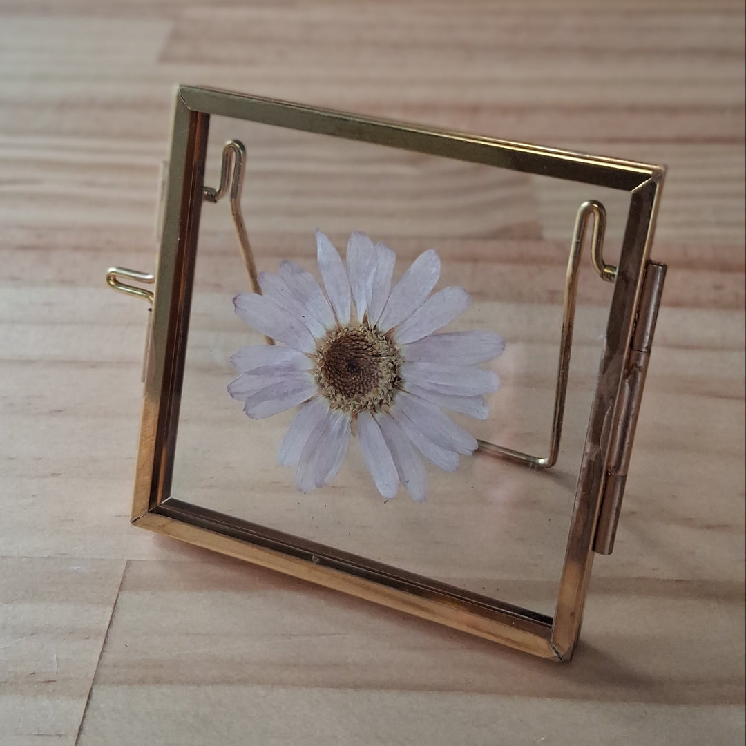 Glasrahmen mit getrockneten Blüten - Dekohänger - div. Blumen