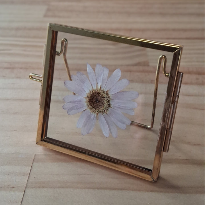 Glasrahmen mit getrockneten Blüten - Dekohänger - div. Blumen