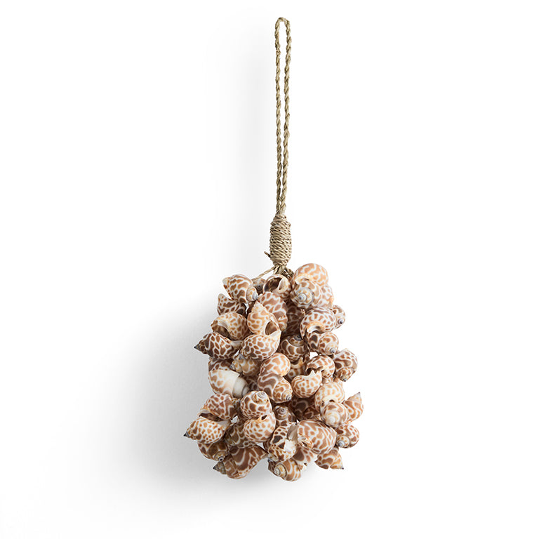 Muschelbündel hellbraun