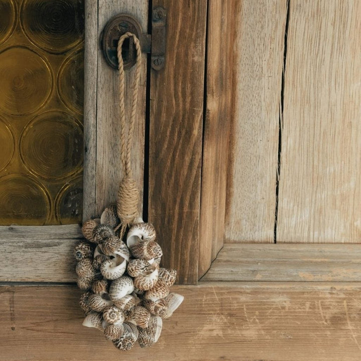 Muschelbündel hellbraun
