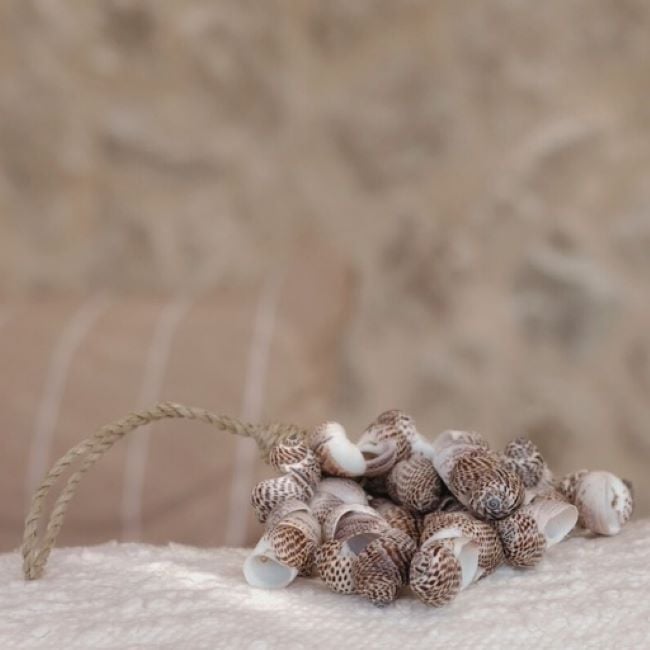 Muschelbündel hellbraun