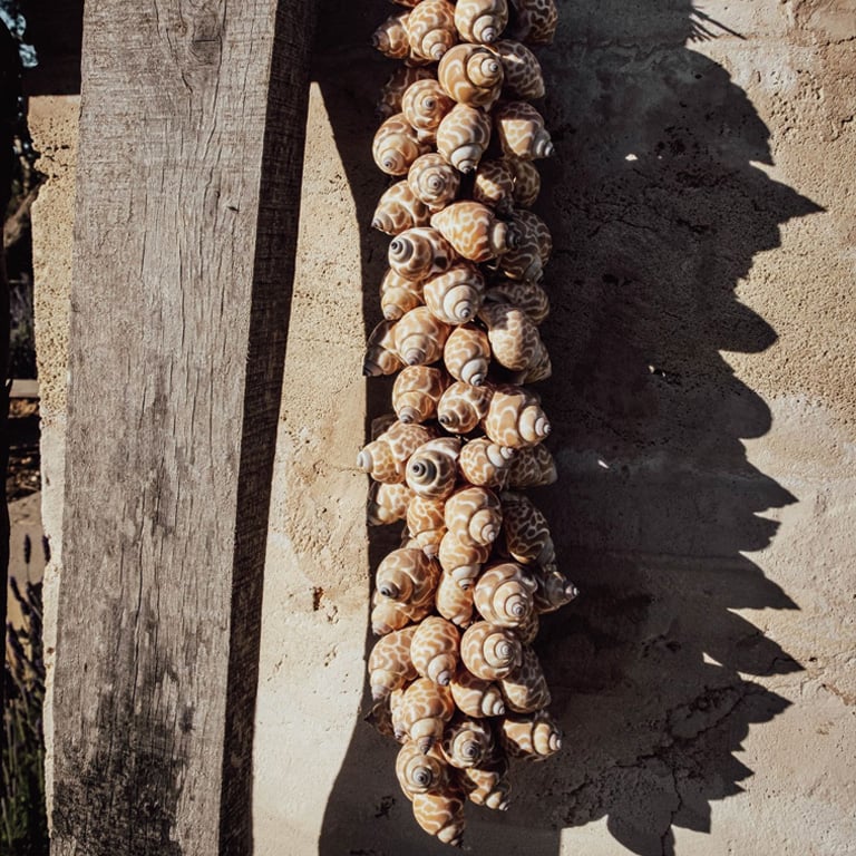 Muschelkette