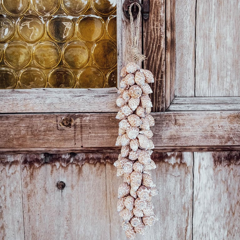 Muschelkette