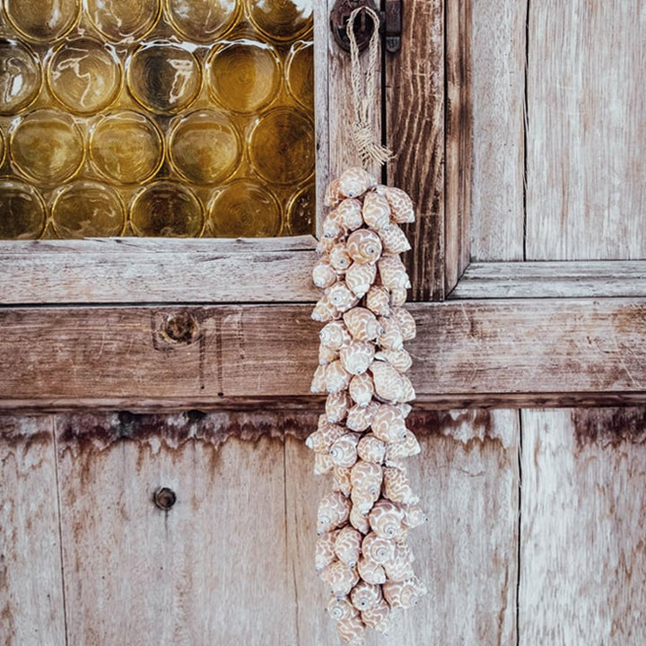 Muschelkette