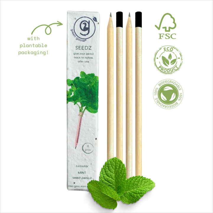 SEEDZ Blooming Pencil - 4 Bleistifte in pflanzbarer Verpackung - Minze