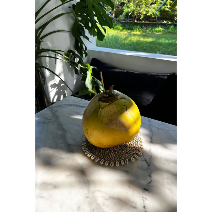 SEAGRASS SHELL Topfuntersetzer - Tischset - Platzset - Wanddeko