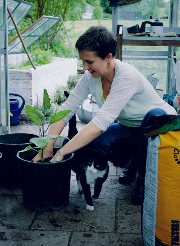 Buch 100 REZEPTE AUS MEINEM GARTEN | Saisonale & frische Küche mit Gemüse & Kräutern