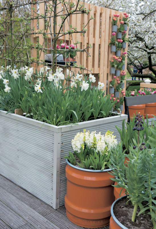 Buch GARTENGESTALTUNG MIT HOCHBEET | Ideen, Tipps & Inspiration für Garten & Balkon