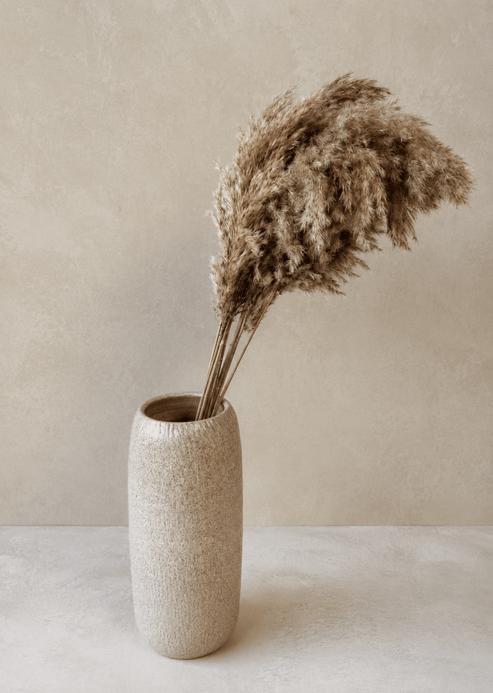 Pampas Grass NATURAL - 10er Bund
