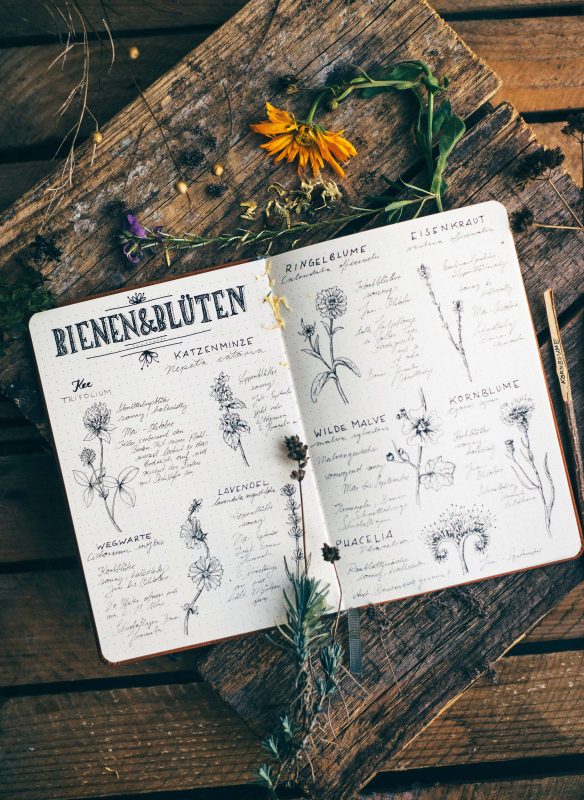 Buch FLOWER GIRLS | Mehr als nur ein grüner Daumen - die 20 wichtigsten Gartenbloggerinnen öffnen ihre Gartentore