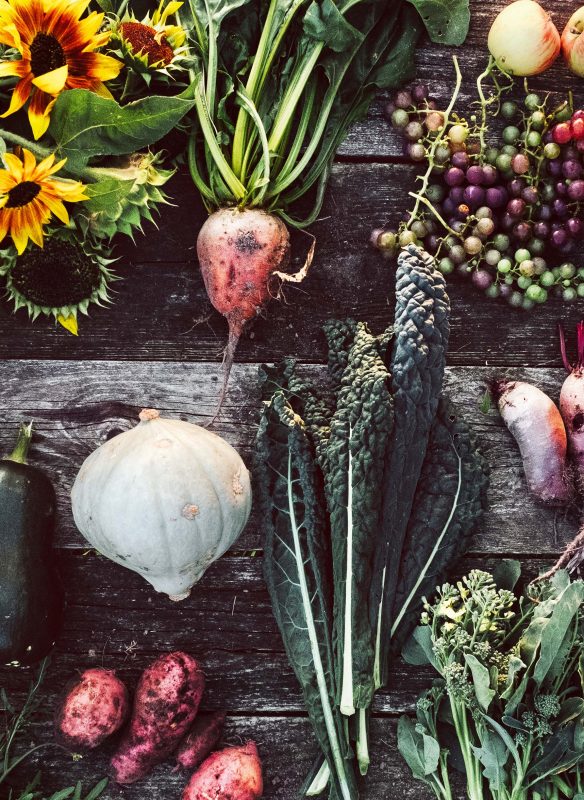 Buch FLOWER GIRLS | Mehr als nur ein grüner Daumen - die 20 wichtigsten Gartenbloggerinnen öffnen ihre Gartentore