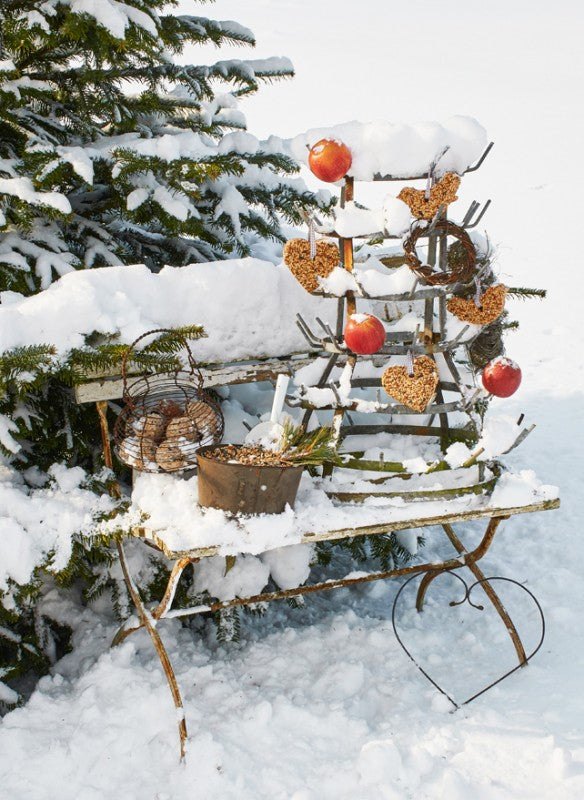 Buch WINTERZAUBER & WEIHNACHTSZEIT | Rezepte und Ideen für die schönste Jahreszeit